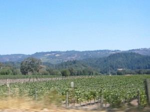 Napa Valley