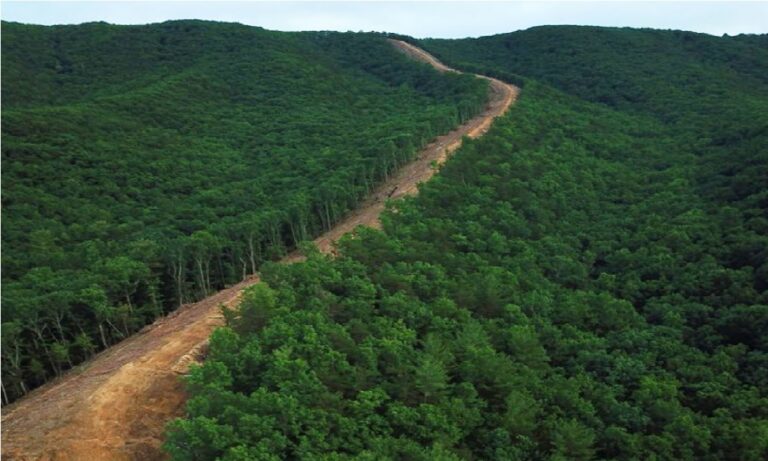 U.S. Forest Service lets Mountain Valley Pipeline rip through Jefferson National Forest – CCAN protests