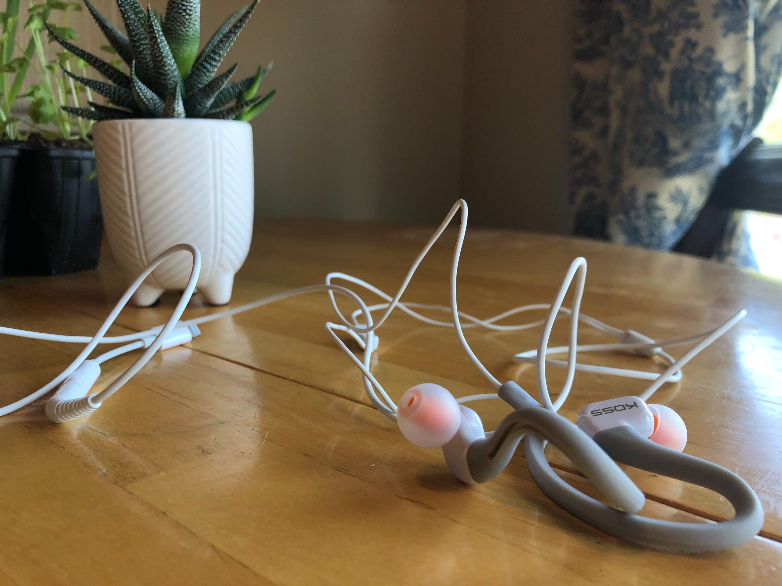 wired headphones on a wooden table accompanied by a plant in a white pot