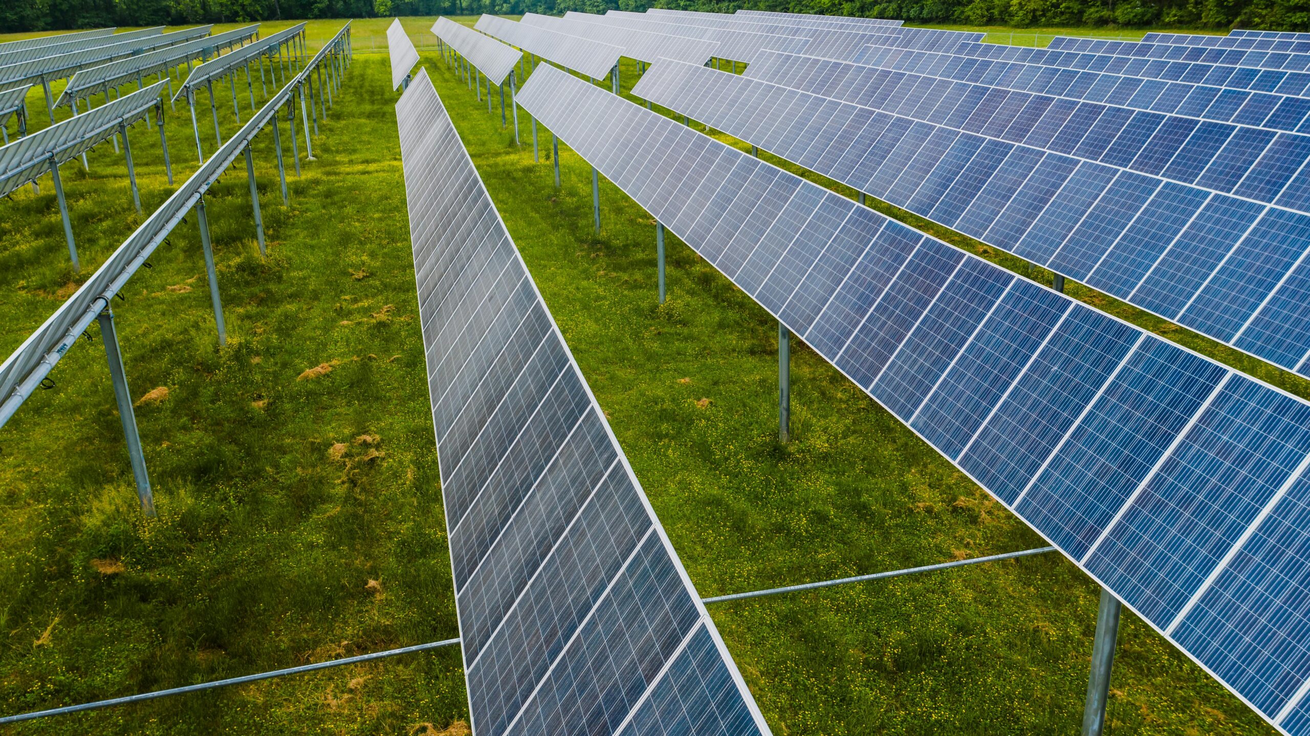 Stop the Ban on Land-based Solar Power In Montgomery County, MD. “Progressive” Councilmembers Will Jawando, Gabe Albornoz, and others could harm regional progress on clean energy