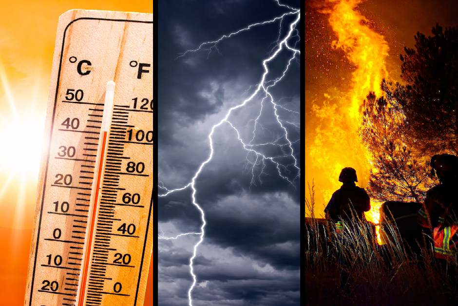 Amid This Summer’s Record Heat and Violent Rain, Local Author Shows How Climate Change is Killing Trees and Making People Sick on His Street and Yours