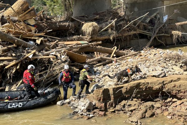 54070365771_d3cb9615b4_k